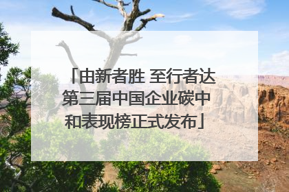 由新者胜 至行者达 第三届中国企业碳中和表现榜正式发布