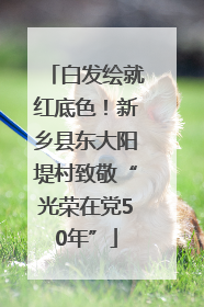 白发绘就红底色！新乡县东大阳堤村致敬“光荣在党50年”