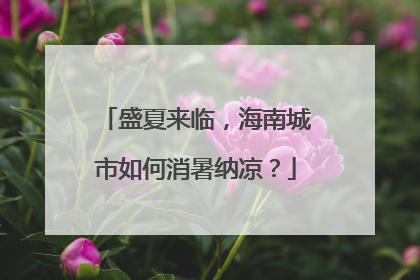 盛夏来临，海南城市如何消暑纳凉？
