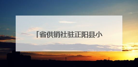 省供销社驻正阳县小陈村工作队 助力“三夏”护航丰收之路
