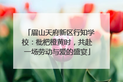 眉山天府新区行知学校：枇杷橙黄时，共赴一场劳动与爱的盛宴