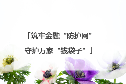 筑牢金融“防护网” 守护万家“钱袋子”