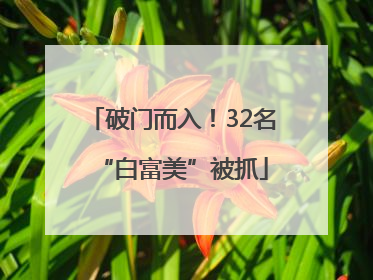 破门而入！32名“白富美”被抓