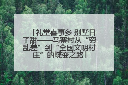 礼堂喜事多 别墅日子甜——马寨村从“穷乱差”到“全国文明村庄”的蝶变之路