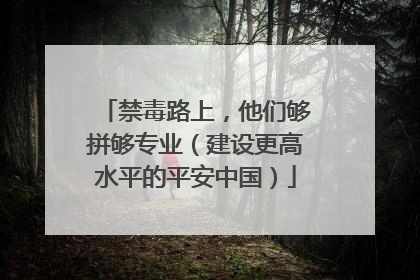 禁毒路上，他们够拼够专业（建设更高水平的平安中国）