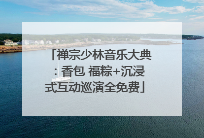 禅宗少林音乐大典：香包 福粽+沉浸式互动巡演全免费