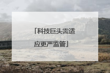 科技巨头需适应更严监管