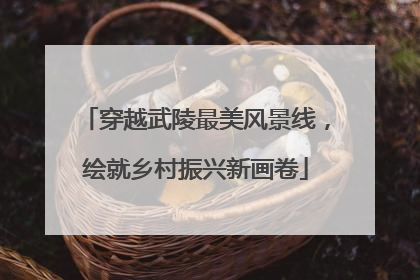 穿越武陵最美风景线，绘就乡村振兴新画卷