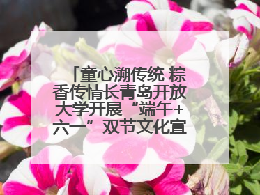 童心溯传统 粽香传情长青岛开放大学开展“端午+六一”双节文化宣讲活动