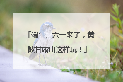 端午、六一来了，黄陂甘露山这样玩！