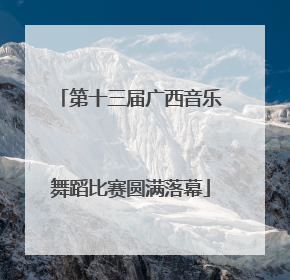 第十三届广西音乐舞蹈比赛圆满落幕