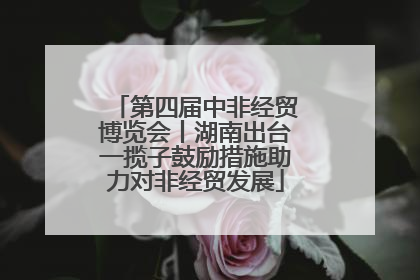 第四届中非经贸博览会丨湖南出台一揽子鼓励措施助力对非经贸发展