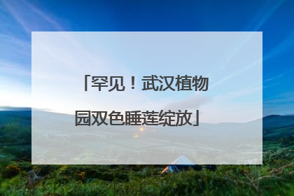 罕见！武汉植物园双色睡莲绽放