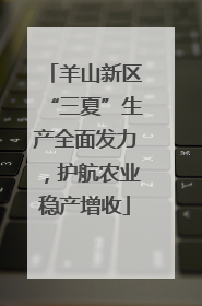 羊山新区“三夏”生产全面发力，护航农业稳产增收