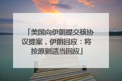 美国向伊朗提交核协议提案，伊朗回应：将按原则适当回应