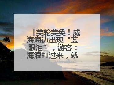 美轮美奂！威海海边出现“蓝眼泪”，游客：海浪打过来，就像星河一样