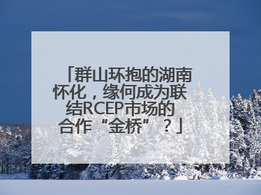 群山环抱的湖南怀化，缘何成为联结RCEP市场的合作“金桥”？