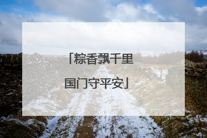 粽香飘千里 国门守平安