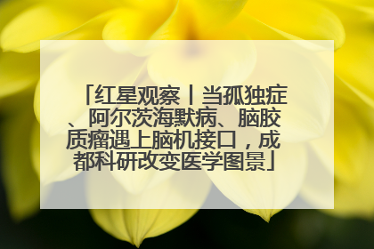 红星观察丨当孤独症、阿尔茨海默病、脑胶质瘤遇上脑机接口，成都科研改变医学图景