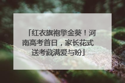 红衣旗袍擎金葵！河南高考首日，家长花式送考藏满爱与盼
