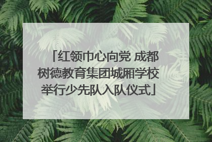 红领巾心向党 成都树德教育集团城厢学校举行少先队入队仪式