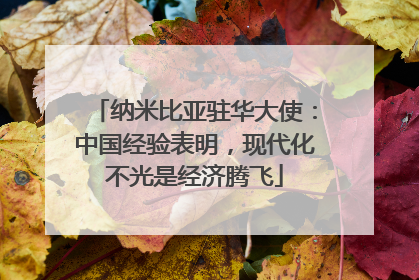 纳米比亚驻华大使：中国经验表明，现代化不光是经济腾飞