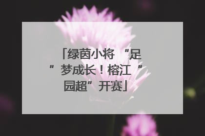 绿茵小将 “足”梦成长！榕江“园超”开赛