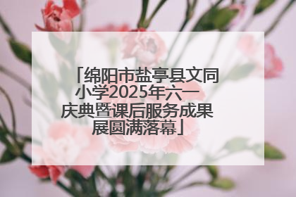 绵阳市盐亭县文同小学2025年六一庆典暨课后服务成果展圆满落幕