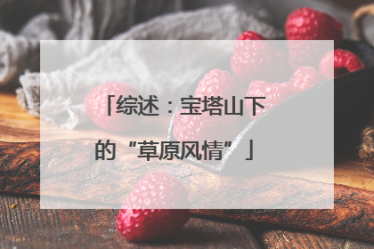 综述：宝塔山下的“草原风情”