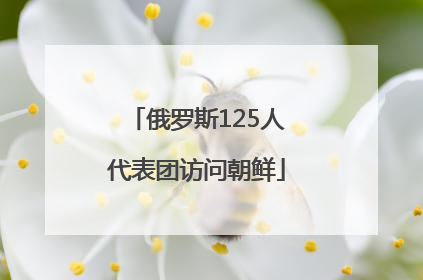 俄罗斯125人代表团访问朝鲜