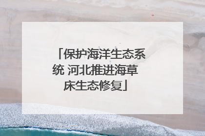 保护海洋生态系统 河北推进海草床生态修复
