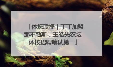 体坛联播｜丁丁加盟那不勒斯，王皓先农坛体校招聘笔试第一