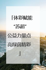 体彩赋能“苏超” 公益力量点亮绿茵精彩