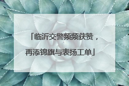 临沂交警频频获赞，再添锦旗与表扬工单