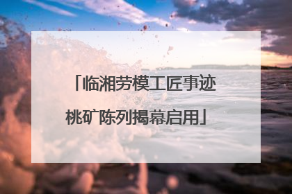 临湘劳模工匠事迹桃矿陈列揭幕启用