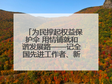 为民撑起权益保护伞 用情铺就和谐发展路——记全国先进工作者、新区项目建设中心干部卢小勇