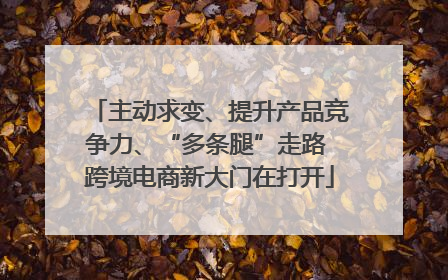主动求变、提升产品竞争力、“多条腿”走路 跨境电商新大门在打开
