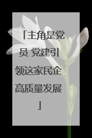 主角是党员 党建引领这家民企高质量发展