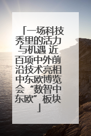 一场科技秀里的活力与机遇 近百项中外前沿技术亮相中东欧博览会“数智中东欧”板块