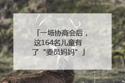 一场协商会后，这164名儿童有了“委员妈妈”