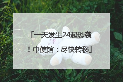 一天发生24起恐袭！中使馆：尽快转移