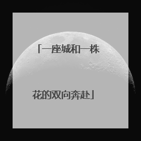 一座城和一株花的双向奔赴