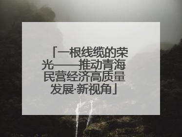 一根线缆的荣光——推动青海民营经济高质量发展·新视角