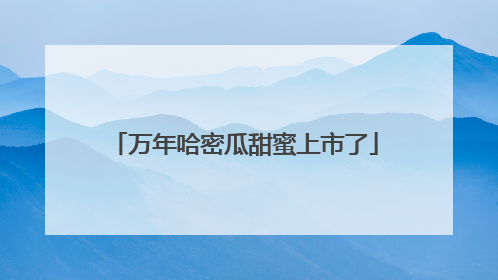 万年哈密瓜甜蜜上市了