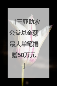 三亚助农公益基金获最大单笔捐赠50万元
