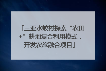 三亚水蛟村探索“农田+”耕地复合利用模式，开发农旅融合项目