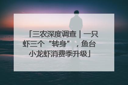 三农深度调查｜一只虾三个“转身”，鱼台小龙虾消费季升级