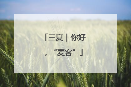 三夏｜你好，“麦客”