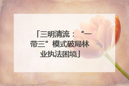 三明清流：“一带三”模式破局林业执法困境