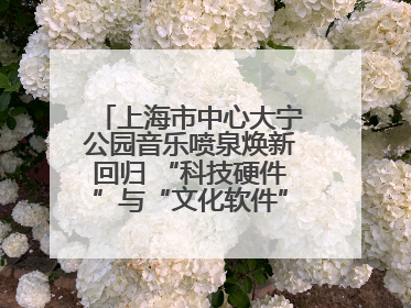 上海市中心大宁公园音乐喷泉焕新回归 “科技硬件”与“文化软件”完美融合
